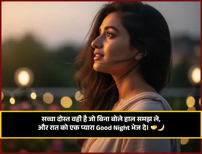 Friends Good Night Shayari