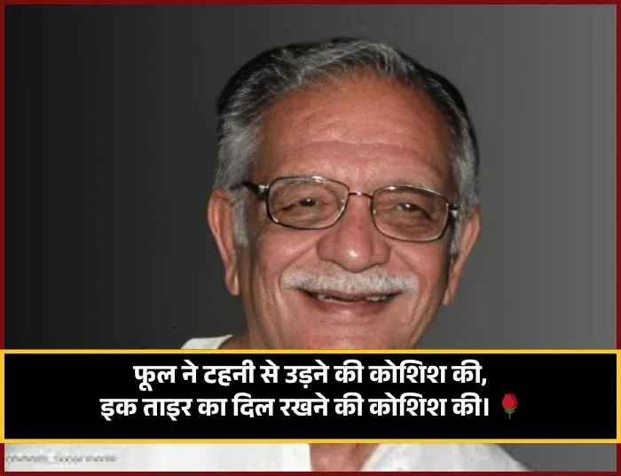 Gulzar Shayari on Gulab Gulzar Shayari on Gulab