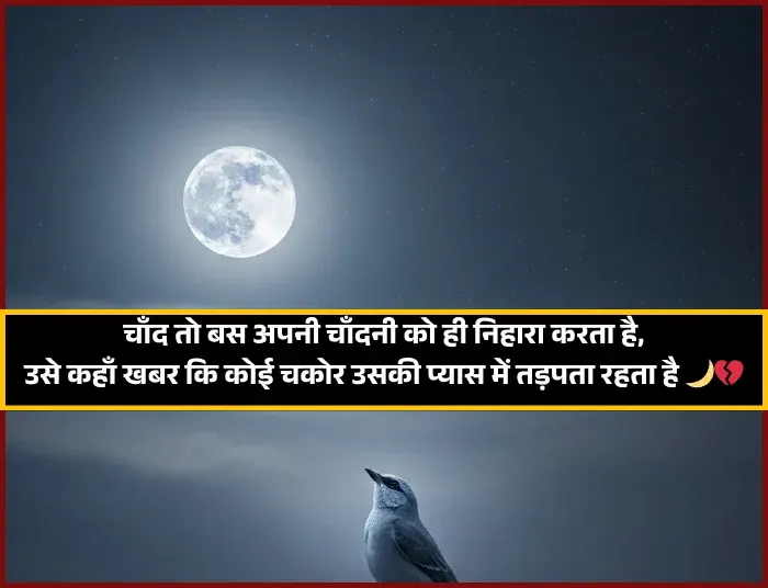 Moon Shayari
