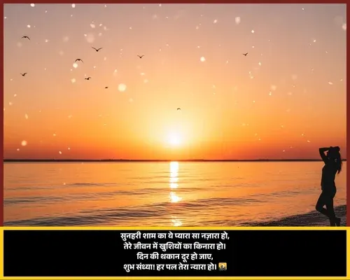 Good Evening Shayari